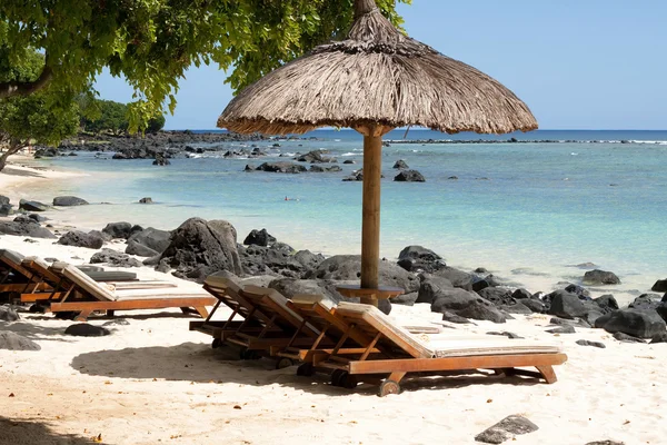 Tropická pláž ostrova Mauricius Royalty Free Stock Fotografie