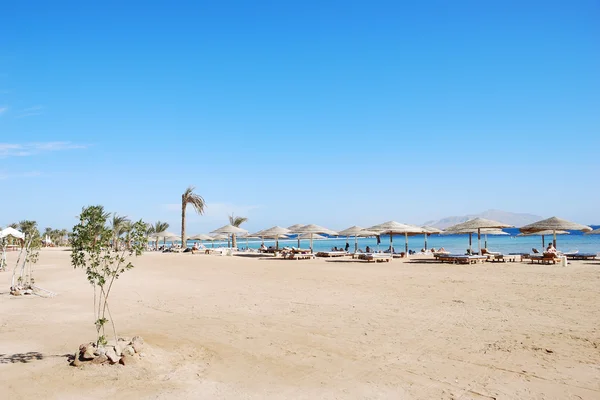 Παραλία πολυτελούς ξενοδοχείου στο resort Ερυθρά θάλασσα — Φωτογραφία Αρχείου