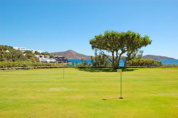 Поле для гольфа и дерево в роскошном отеле — стоковое фото