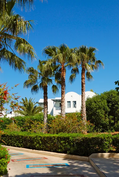 高級ホテル、クレタ島、ギリシャのレクリエーション エリア — ストック写真