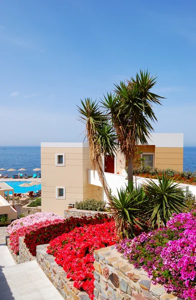 Terrazza con fiori nella zona ricreativa di hotel di lusso, Creta , — Foto Stock