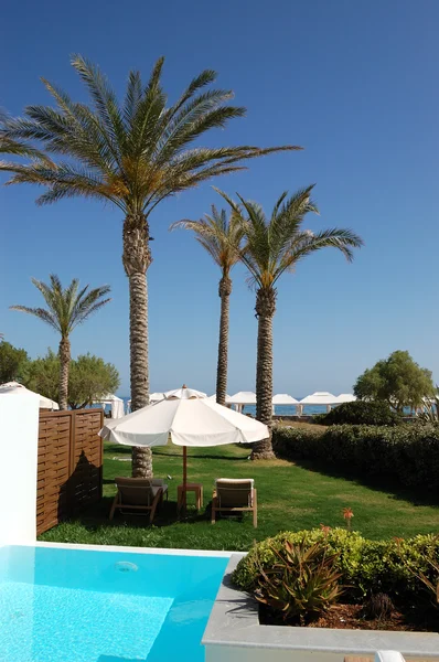 Piscina, espreguiçadeiras e palmeiras na villa de luxo, Creta, Grécia — Fotografia de Stock