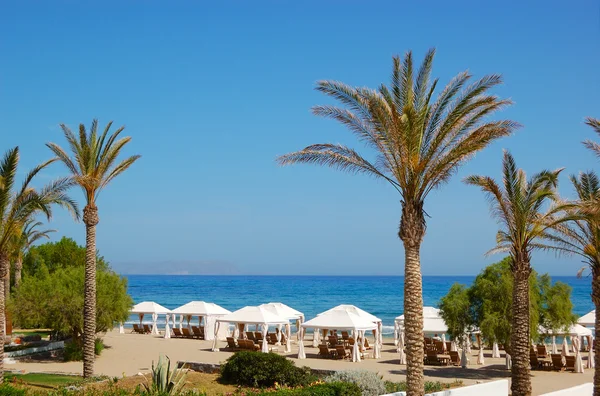 Пальмы на пляже роскошного отеля, Крит, Греция — стоковое фото