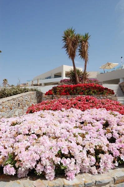 Terasa s květinami v rekreační oblasti luxusního hotelu, Kréta, — Stock fotografie