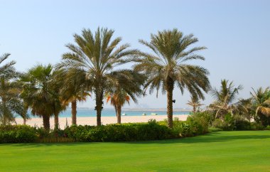 Palms luxury hotel, dubai, Birleşik Arap Emirlikleri sahilde