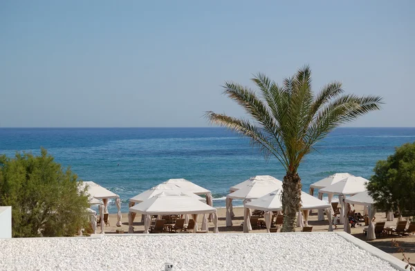 Palmboom op het strand van luxe hotel, Kreta, Griekenland — Stockfoto