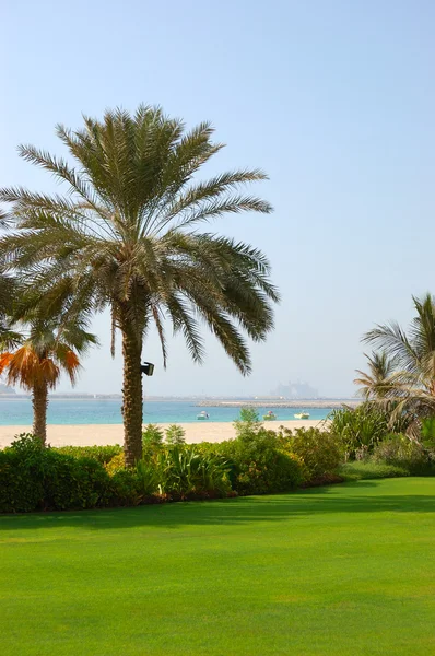 Beach of luxury hotel with a view on Palm Jumeirah man-made isla — Stock Photo, Image