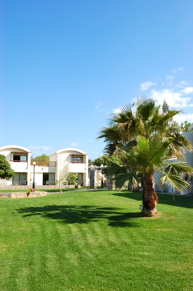 Palmboom op het gazon at luxe hotel, Kreta, Griekenland — Stockfoto