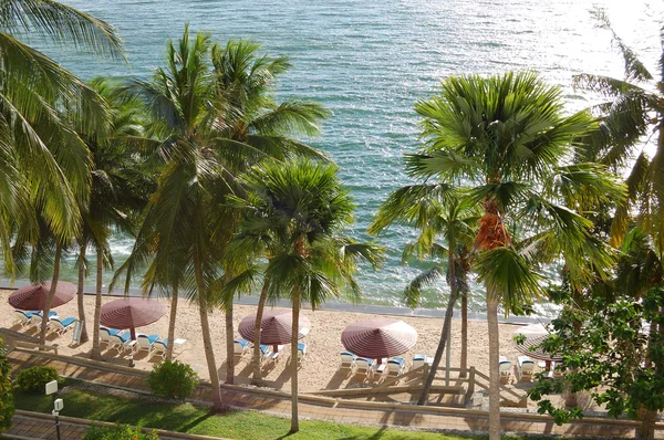 Пляж с пальмами роскошного отеля, Паттайя, Таиланд — стоковое фото