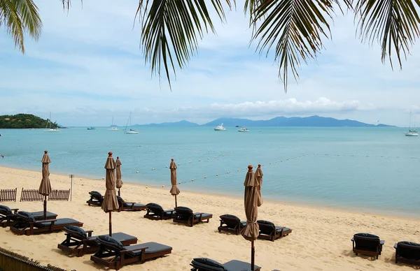 Beach with sunbeds at modern luxury hotel, Samui island, Thailan — Stock Photo, Image