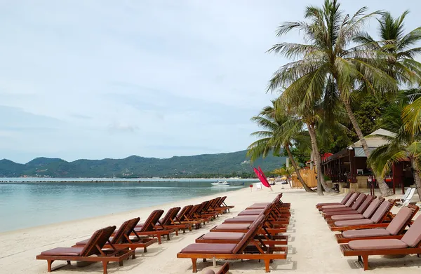 Strandon napozóágyak és kókusz pálmafák között, a samui-sziget, a thailan — Stock Fotó