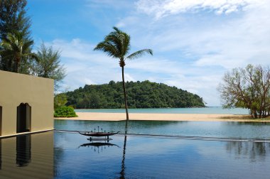 plaj ve Yüzme Havuzu, phuket, Tayland, thailand, palmiye ağacı