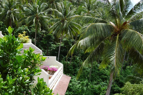 Балкон с цветами роскошного отеля с видом на кокосовую пальму — стоковое фото