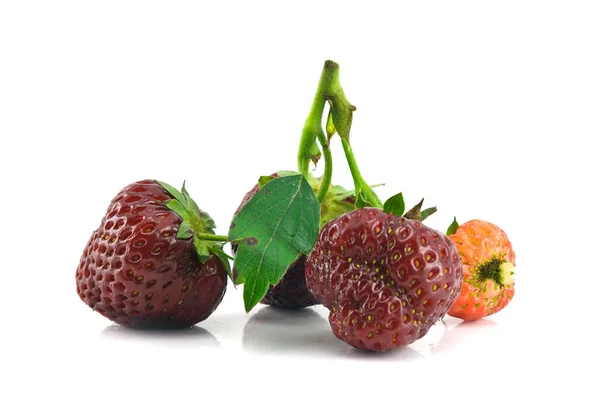 群的孤立的草莓 — 图库照片