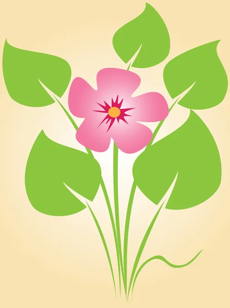 Fleur rose feuilles vertes — Image vectorielle