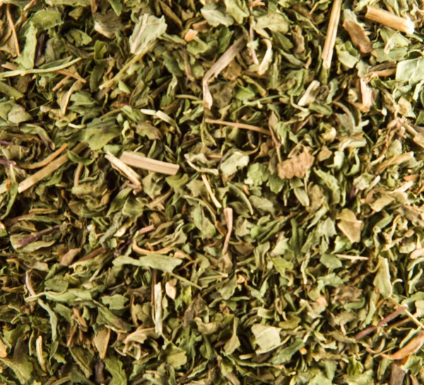 stock image Yerba Mate