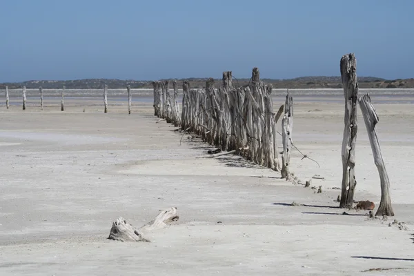 coorong Milli Parkı - Avustralya