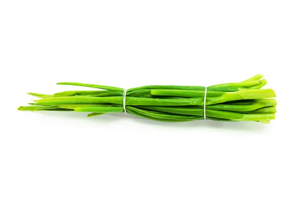 Grüne Zwiebel isoliert auf weißem Hintergrund — Stockfoto