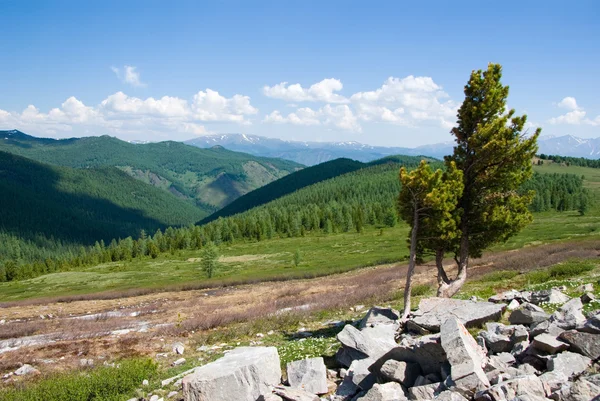 아름 다운 산 자연 — 스톡 사진