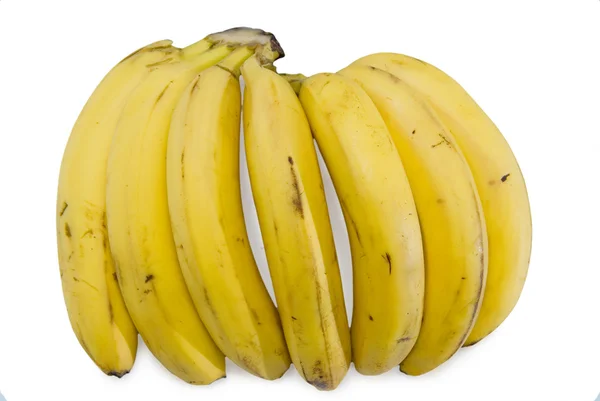 Bunch av bananer isolerad på vit bakgrund — Stockfoto