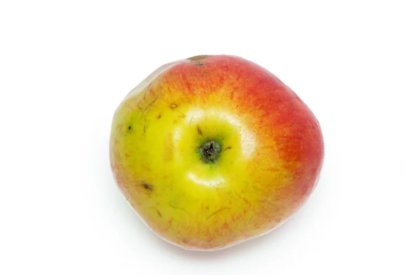 Manzana aislada en el fondo blanco —  Fotos de Stock