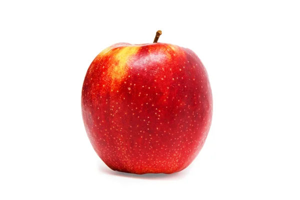 Czerwone jabłko odizolowane na białym tle — Zdjęcie stockowe