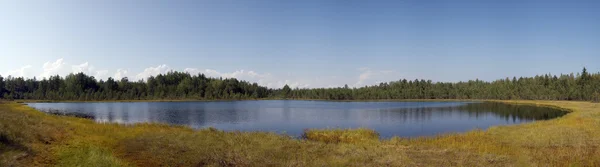 Pequeno lago — Fotografia de Stock