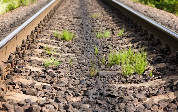 Ferroviários e grama — Fotografia de Stock