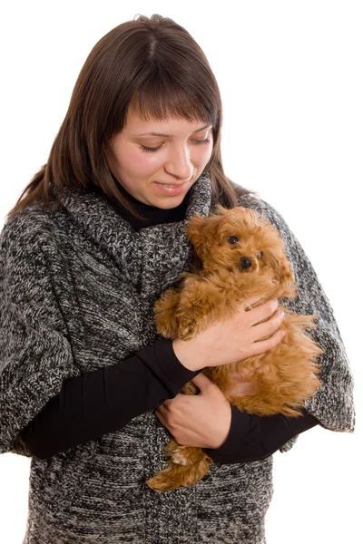 La chica con un cachorro pequeño — Foto de Stock