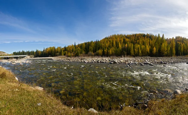 Szybko górskiej rzece — Zdjęcie stockowe