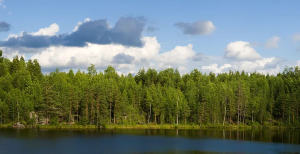 Drewno jezioro — Zdjęcie stockowe