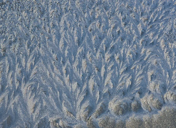 Vinter mönster — Stockfoto
