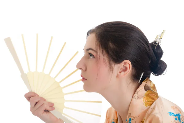 In the Japanese style — Stock Photo, Image