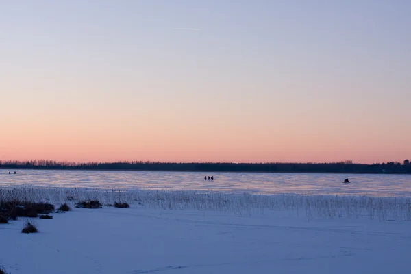 På vintersøen - Stock-foto
