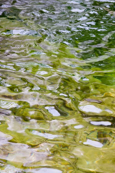 Зеленая вода — стоковое фото