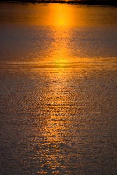 Calea Soarelui — Fotografie, imagine de stoc