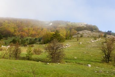 sisli sabahı Dağı Yaylası