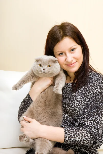 Flickan har en grå katt på händer — Stockfoto