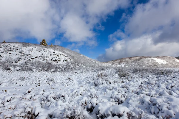 Schneebedeckte Hügel — Stockfoto