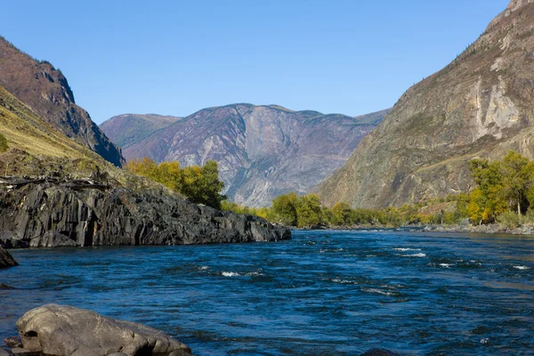 Mountain river Chulyshman — Stock Photo, Image
