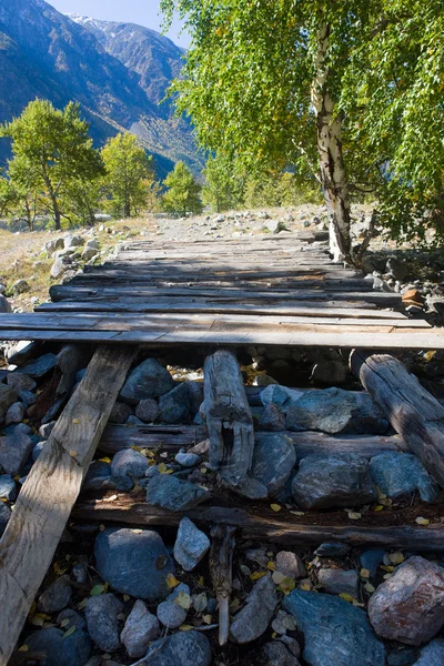 木製の橋 — ストック写真