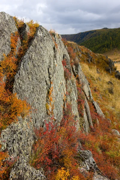 Rocas otoñales — Foto de Stock
