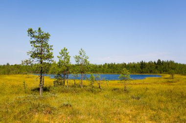 Lake and bog clipart