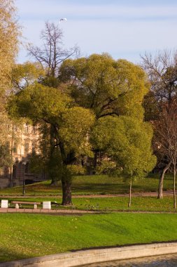 Petersburg'ın sonbahar geliyor