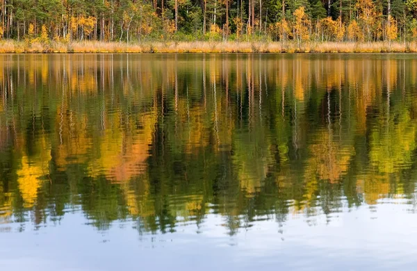 Осінь у озера — стокове фото