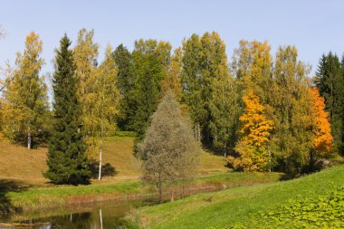 Sonbahar manzarası