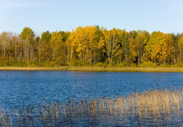 Lago d'autunno — Foto Stock