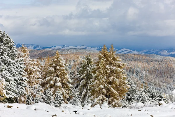 The beginning of winter — Stock Photo, Image