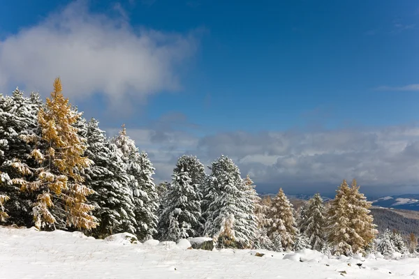 Schnee in den Bergen — Stockfoto