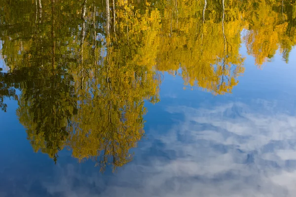 Autumn in lake — Stock Photo, Image